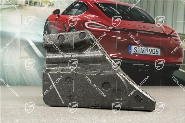 Hintertür Schaumteil, R