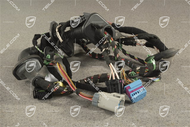 Wiązka instalancji elektrycznej drzwi kierowcy, Bose, L