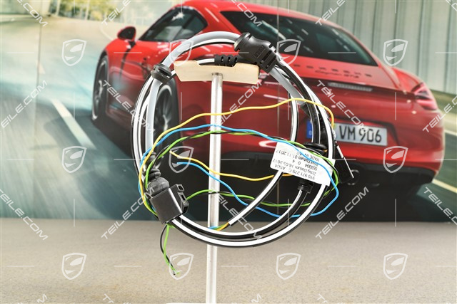 Wiring harness / Electric loom for ABS, L