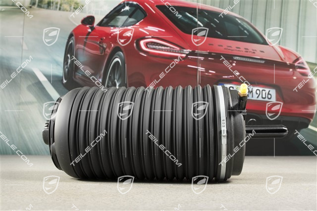 Luftfeder, hinterachse, PASM, L