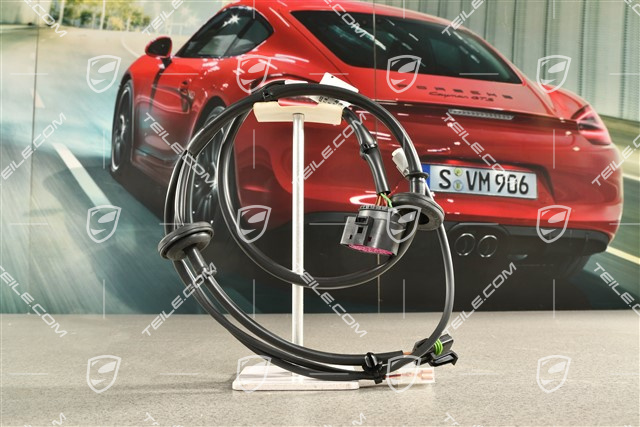 Kabelstrang, Motorhaube, GT2 / GT2RS