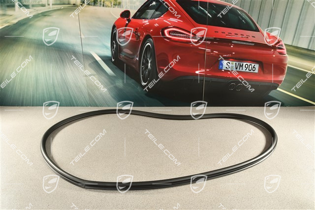 Coupe, Türdichtung / Hintertür, innen, L=R