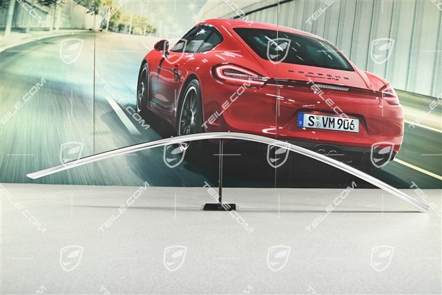 Zierleiste, seitlich, Alushine, L