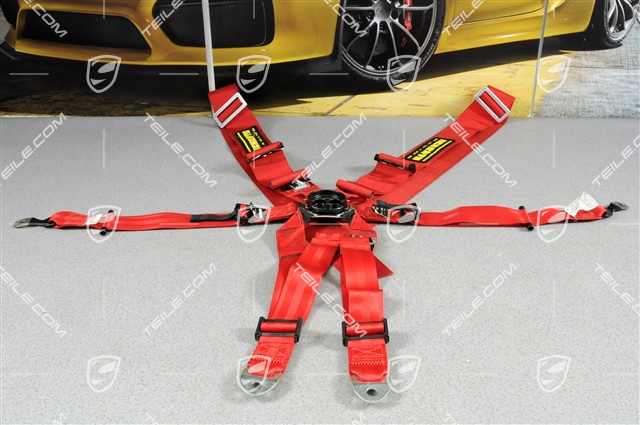 Schroth Profi 3x2 - 6 point seatbelts