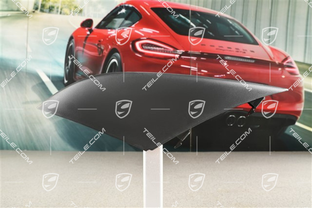 Front bumper disc / trim, Lower, Black, L