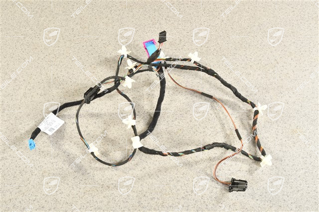 Wiązka instalancji elektrycznej drzwi pasażera, R