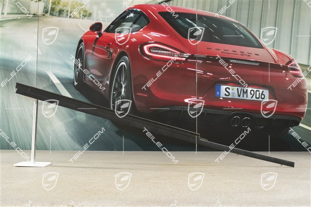 Listwa drzwi zewnętrzna, zgarniająca, Targa/Cabrio, R