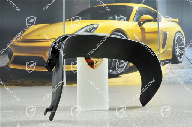 Abschirmblech am Endrohr, schwarz