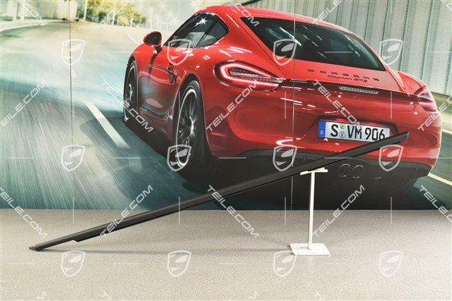 Dichtung, Türschacht, aussen, R