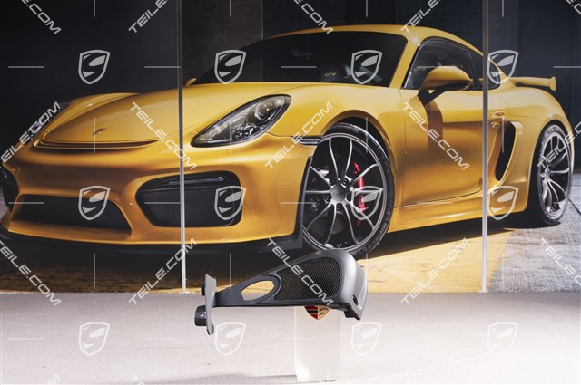 Sicherheitsgurt Abdeckung, Lackiert Schwarz, Targa, R