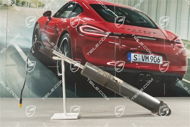 Stoßdämpfer, Targa, Targa S, PASM (elektr. Regelung), L=R