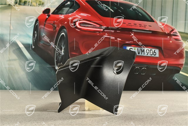 Osłona Lampy tylnej, L