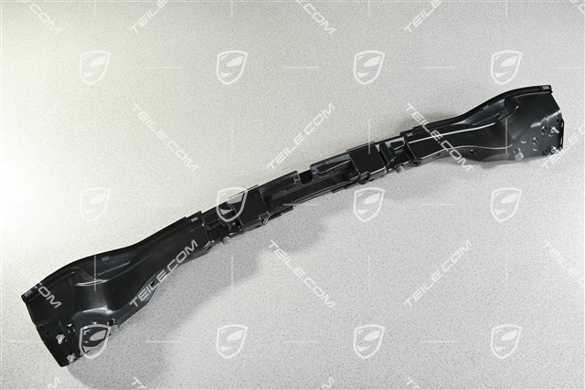 Heckleuchte Abschlussblende / Heckblende mitte, Exclusive Design USA