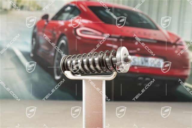 Napinacz łańcucha, R