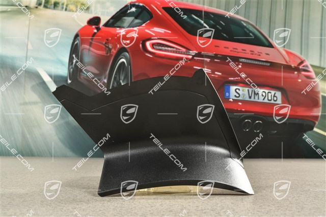 Rear light cover, outer, L