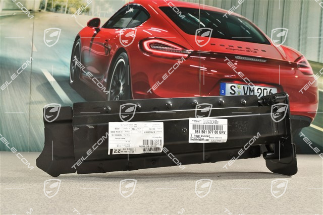 Längstrager, hinten, L