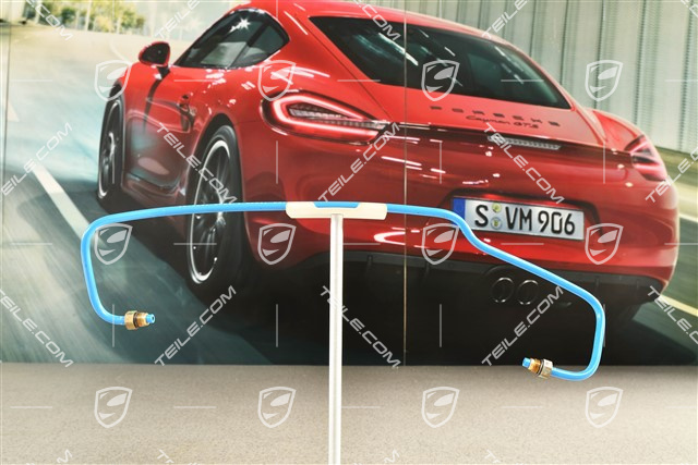 Druckleitung Kompressor, Steuereinheit, PASM