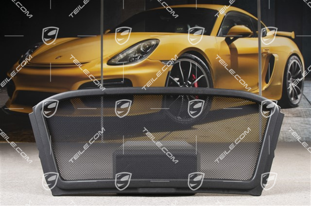 Windschott, Deflector, Mittelteil