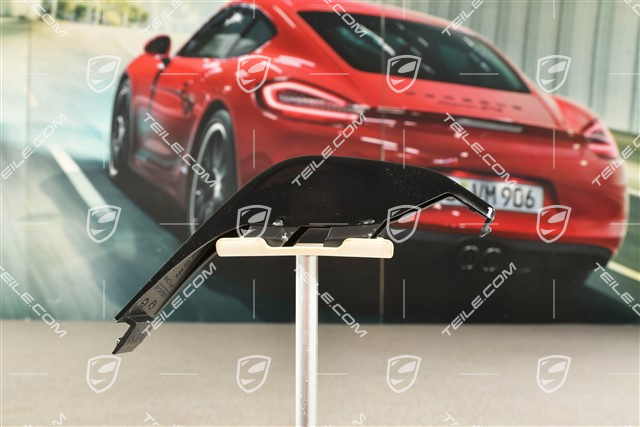 GTS / Sport Design, Trim Moulding, Rear Bumper diffuser