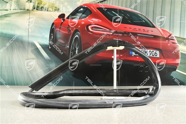 Abdichtung, Überrollbügel Targa