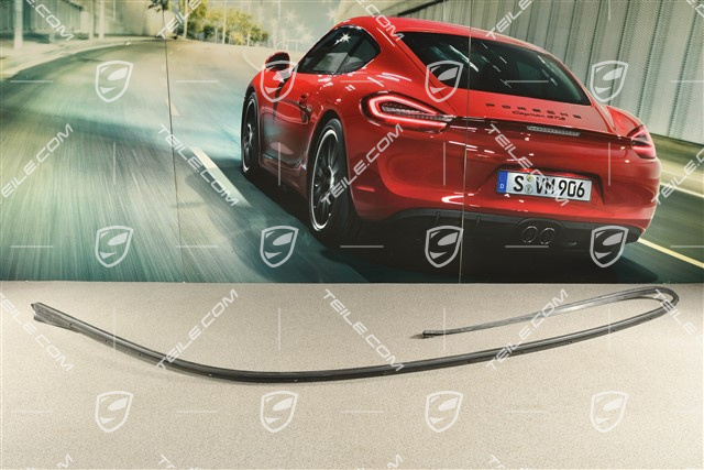 Dachrahmendichtung, schwarz, R