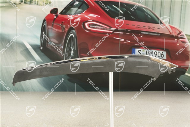 Anniversary edition 50 years 911, Disc / trim upper for front bumper retaining frame, Black, L