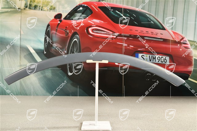 Poszerzenie nadkola, drzwi tylne, L