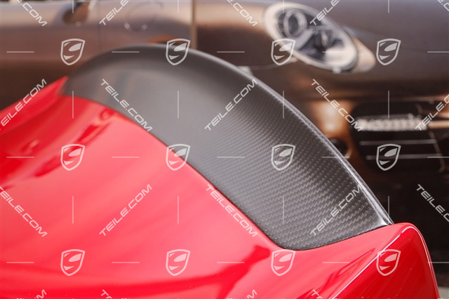 GT2 / GT2 RS Spoiler (Leiste, Oberteil), Carbon