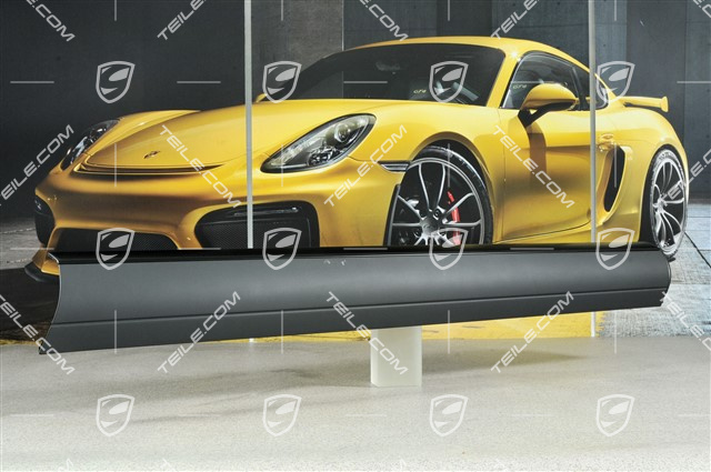 Leiste, Tür vorn, R Leiste, Tür vorn, R