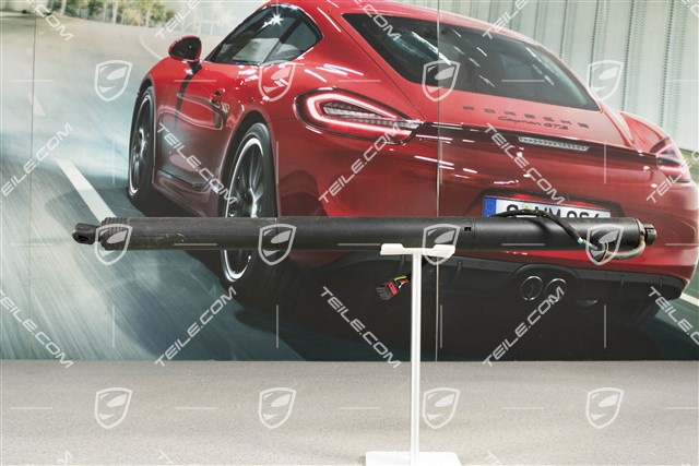 Zylinder für Heckklappe Servoschließung / Powerlift