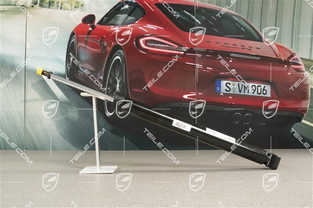 Stossdämpfer / Schwingungsdämpfer, HA, L=R