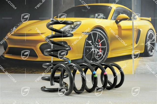 Schraubenfeder, Kennzeichnung Blau/Grün, L+R Schraubenfeder, Kennzeichnung Blau/Grün, L+R