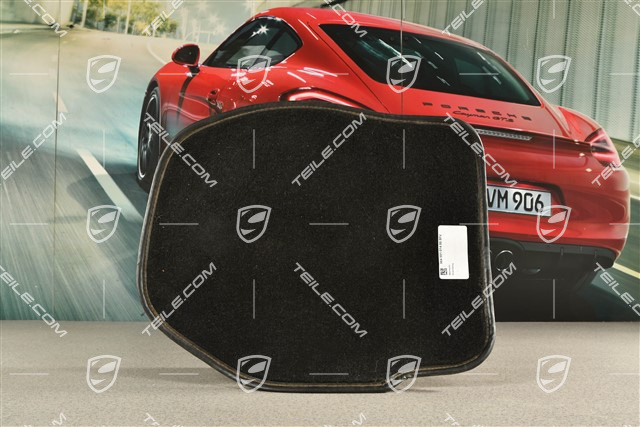 Bodenbelag, Fußmatte, Schwarz, Hinten, R