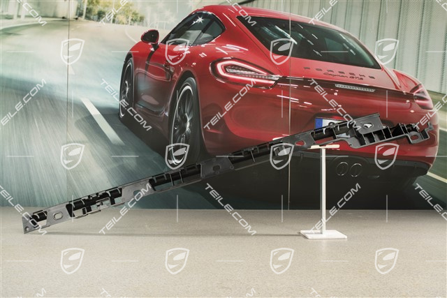 Schwellerblende, Halteleiste / Unterstützung, L