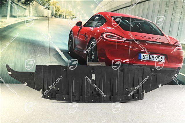 Unterbodenverkleidung, Abdeckung, vorn, GT2RS