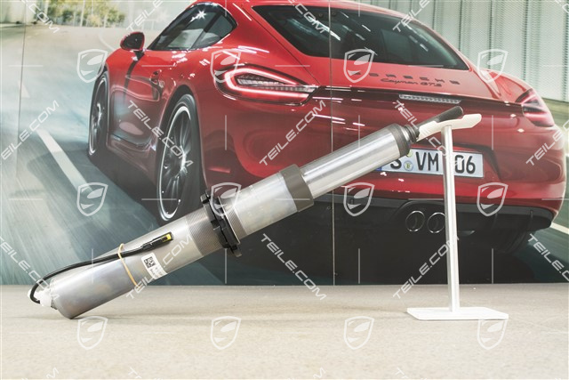 Schwingungsdämpfer, Komplett, PASM, Hinterachse, Spyder, L=R