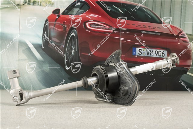 Lenksäule - lenkwelle