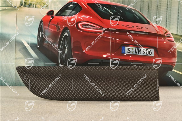 Rear door cover / trim, Carbon matt, R