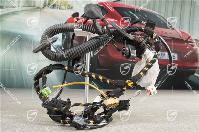 Wiązka elektryczna, Rama montażowa, drzwi kierowcy, L