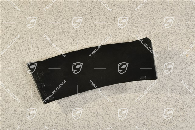 Rear light cover, outer, L