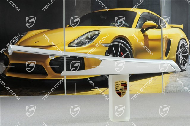 Listwa dekoracyjna tapicerki tylnych drzwi, szczotkowane aluminium, L Listwa dekoracyjna tapicerki tylnych drzwi, szczotkowane aluminium, L