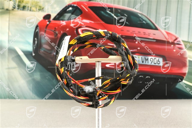 Wiring harness for Trunk opening / opening the tailgate