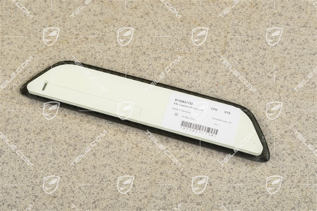 Coupe, Schwellerleiste / Einstiegleiste - Blende , hinten, Carbon, L=R