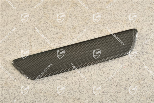 Coupe, Schwellerleiste / Einstiegleiste - Blende , hinten, Carbon, L=R