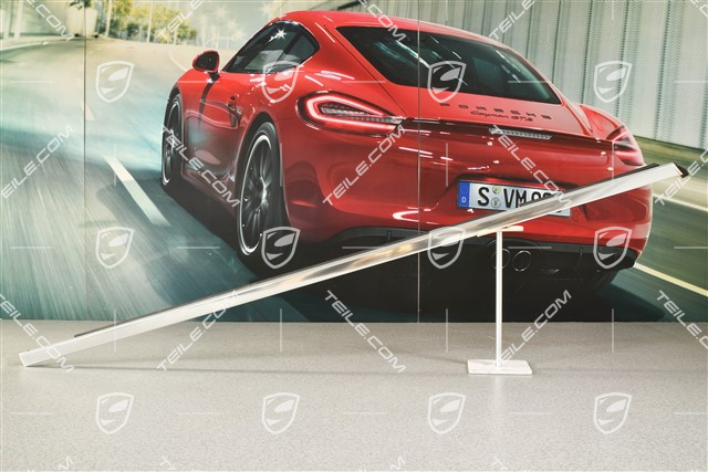 Zierleiste mit Dichtung vorne, R