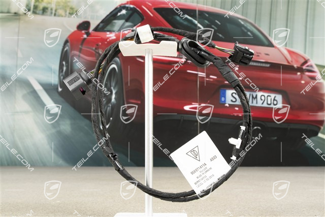 Wiring harness, Rear light, Center