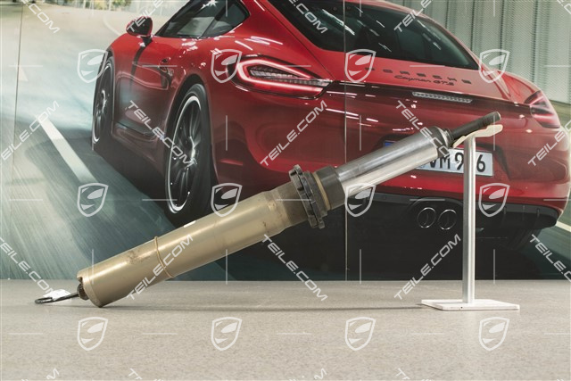 GT4, Stossdämpfer, VA, PASM, L=R