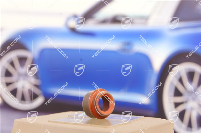 Ventilschaftabdichtung