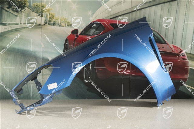 Wing, a little damaged, L