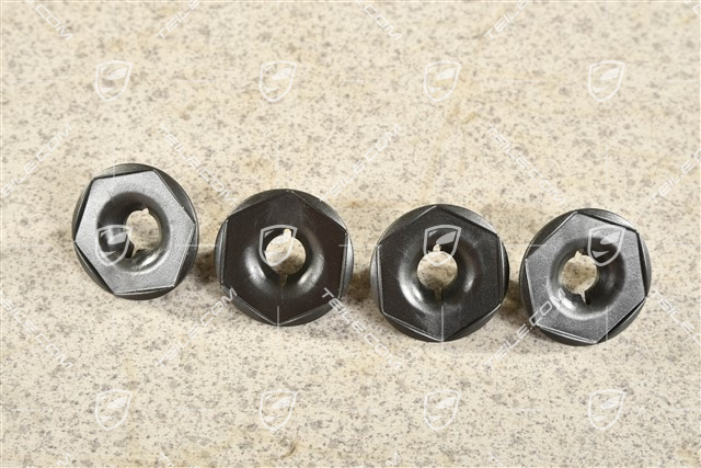 Mouning screw / plug